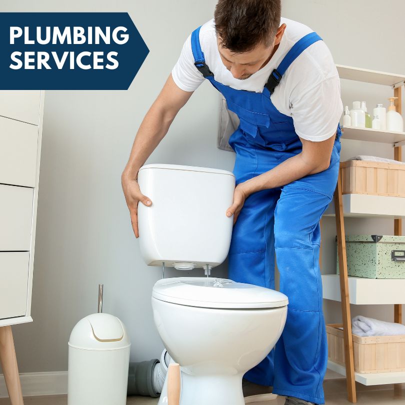 Plumbing Company in Cedar, MI
